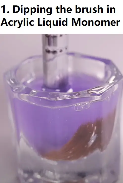 dabbing the brush into acrylic liquid monomer to add length